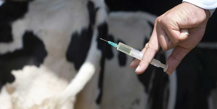 واکسیناسیون یک میلیون و ۸۵۲ هزار رأس دام در «چرداول»
