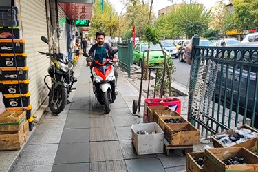 خیابان های تهران 