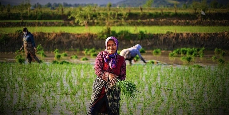 خبرخوب| آب‌بهای زراعی گیلانیان پس از 50 سال ثابت ماند