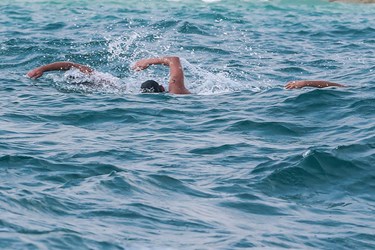  مسابقات فینال شنای آب های آزاد کشور در کیش