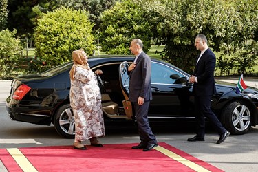دیدار وزیر خارجه آفریقای جنوبی و ایران