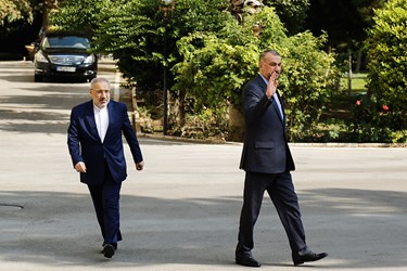 دیدار وزیر خارجه آفریقای جنوبی و ایران