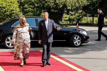دیدار وزیر خارجه آفریقای جنوبی و ایران