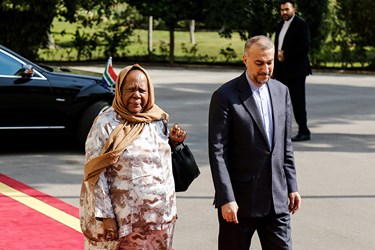 دیدار وزیر خارجه آفریقای جنوبی و ایران