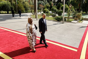 دیدار وزیر خارجه آفریقای جنوبی و ایران