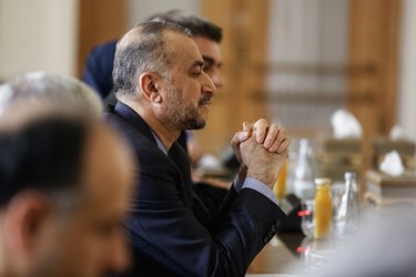 دیدار وزیر خارجه آفریقای جنوبی و ایران