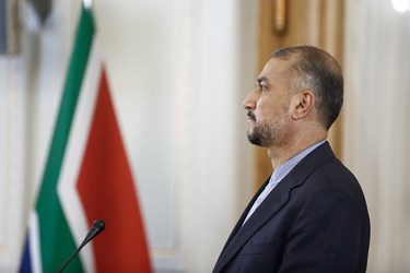 دیدار وزیر خارجه آفریقای جنوبی و ایران