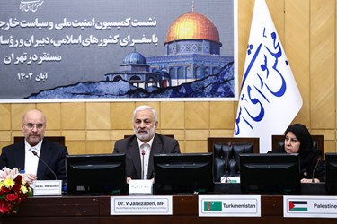 نشست مجلس با سفرای کشورهای اسلامی