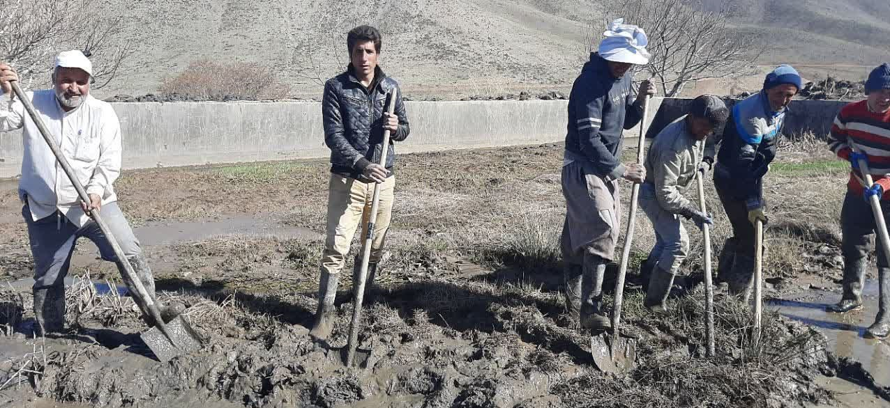 پایگاه اطلاع رسانی نسیم قم