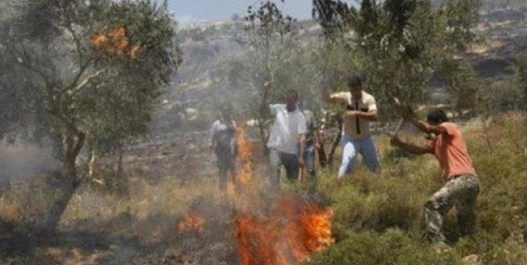 صهیونیست‌ها اراضی کشاورزی فلسطینی‌ها را در نابلس به آتش کشیدند+ویدئو