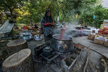 تهیه رُب انار 