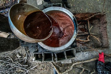 تهیه رُب انار 