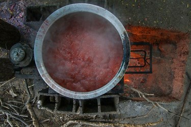 تهیه رُب انار 