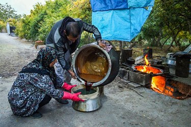 تهیه رُب انار 