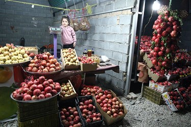 عرضه محصولات انار