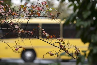 باران پاییزی تهران