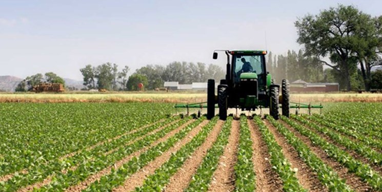 تحقق ۹۴ درصدی اشتغال بخش کشاورزی استان قزوین