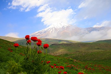 14 آبان؛ روز سرزمین سرسبز و سربلند مازندران