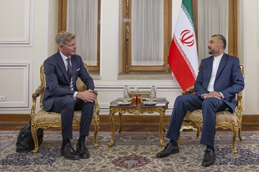 دیدار «هانس گروندبرگ» نماینده ویژه دبیرکل سازمان ملل متحد در امور یمن با امیرعبداللهیان
