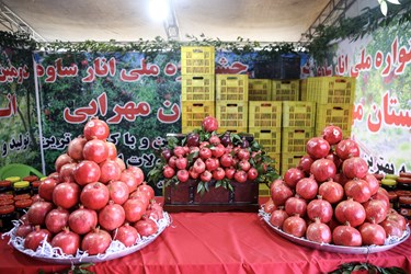 جشنواره ملی انار ساوه