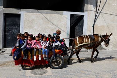 در برخی محلات غزه، دانش آموزان با گاری به مدرسه می روند.