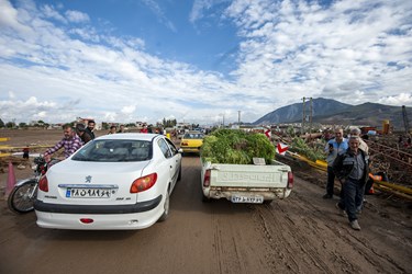 سیل در شرق گلستان 