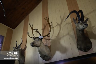 Iran: Khoshk-e-Daran Wildlife Museum