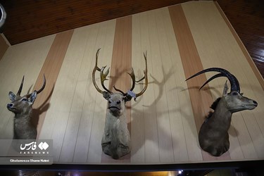 Iran: Khoshk-e-Daran Wildlife Museum