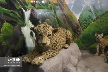 Iran: Khoshk-e-Daran Wildlife Museum