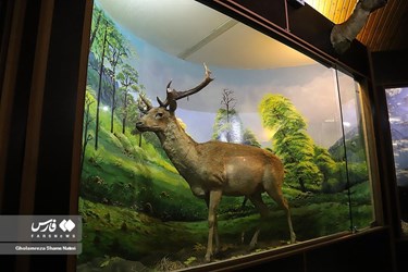 Iran: Khoshk-e-Daran Wildlife Museum