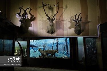 Iran: Khoshk-e-Daran Wildlife Museum