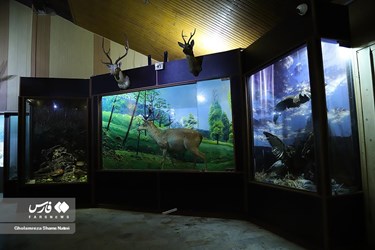 Iran: Khoshk-e-Daran Wildlife Museum