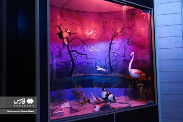 Iran: Khoshk-e-Daran Wildlife Museum