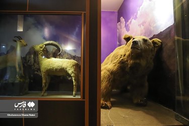 Iran: Khoshk-e-Daran Wildlife Museum