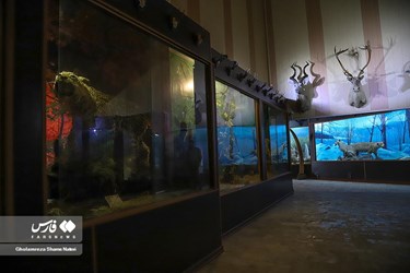Iran: Khoshk-e-Daran Wildlife Museum