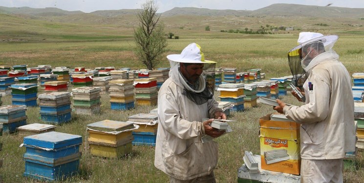 فعالیت 6700 زنبورستان در آذربایجان‌غربی