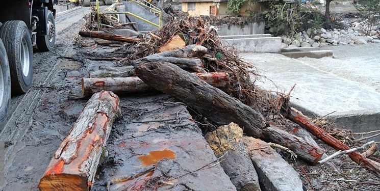 سد سرشاخه‌گیر؛ راه‌حلی برای چوب‌های سرگردان سیلابی