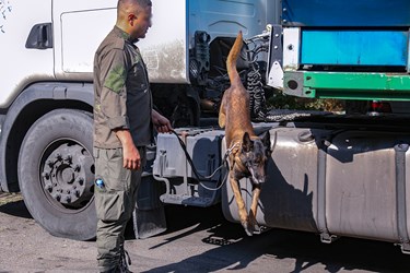 نمایشگاه  «یاریگران زندگی»