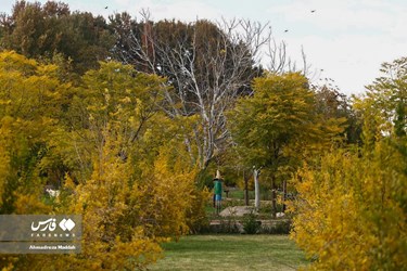 Shiraz Beauty Has Doubled in Colorful Autumn