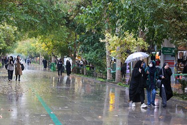 بارش باران در نصف‌جهان