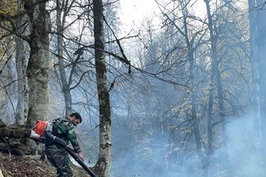 آتش سوزی جنگلهای کجور مازندران 