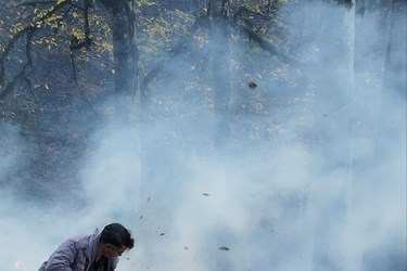 آتش سوزی جنگلهای کجور مازندران 
