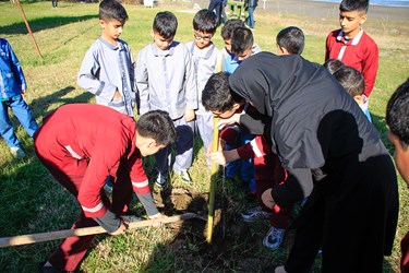 آغاز طرح ملی کاشت یک میلیارد درخت در چالوس 