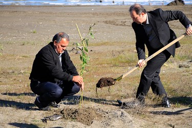 آغاز طرح ملی کاشت یک میلیارد درخت در چالوس 