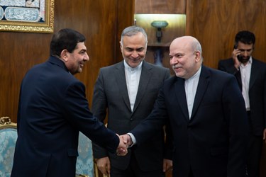 دیدار نایب رئیس مجلس عراق با معاون اول رئیس جمهور