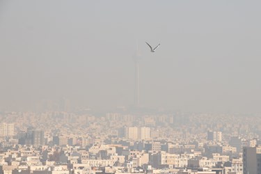ناپدید شدن برج میلاد در مه و دود 