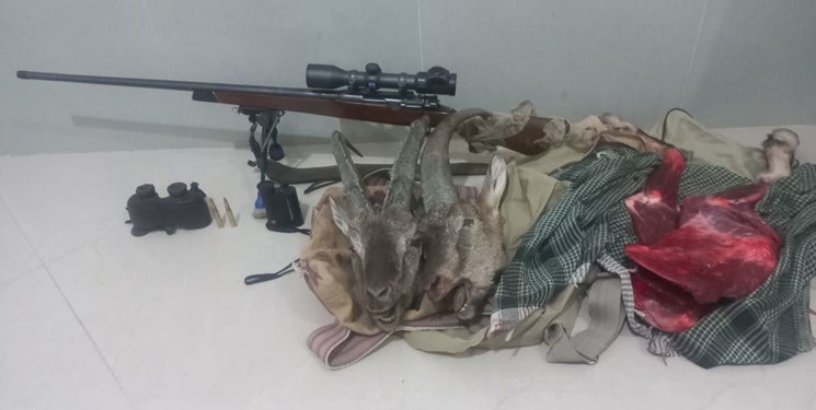 دستگیری سه شکارچی «کل» در ارتفاعات کرکس