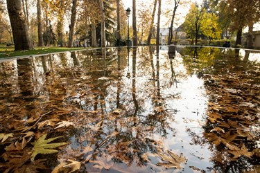 پاییز در کاخ موزه نیاوران
