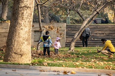 پاییز در کاخ موزه نیاوران