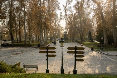 پاییز در کاخ موزه نیاوران